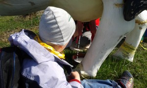 20150422_101645