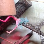 20150423_092704