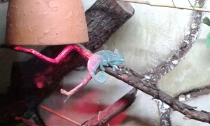 20150423_092704