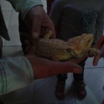 20150423_093107