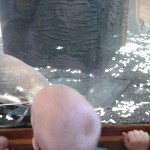20150423_093439