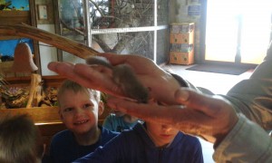 20150423_094004