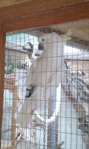 20150423_095123
