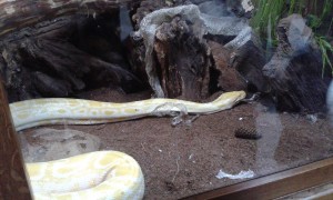 20150423_100346