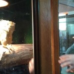 20150423_100605