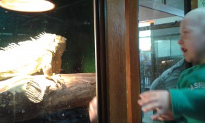 20150423_100605