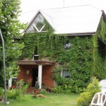 IMG_0790 (1)