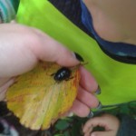 20150923_111701