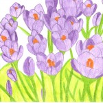 EPSON MFP image
