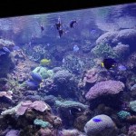 IMG_20160215_131322