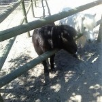 photo14