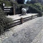 photo23