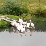 20170623_100431