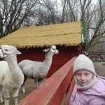 601924270_1430512612413440_4993789811209970582_n