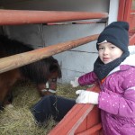 603875264_1430511949080173_9051951659877580358_n