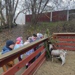 604257204_1430512172413484_863233890499853407_n